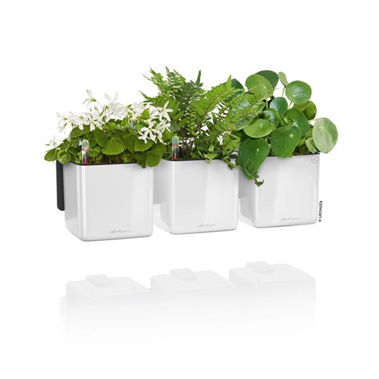 LECHUZA Green Wall Home Kit Glossy 