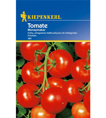 Tomate 'Moneymaker'