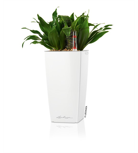 LECHUZA MINI-CUBI LECHUZA MINI-CUBI