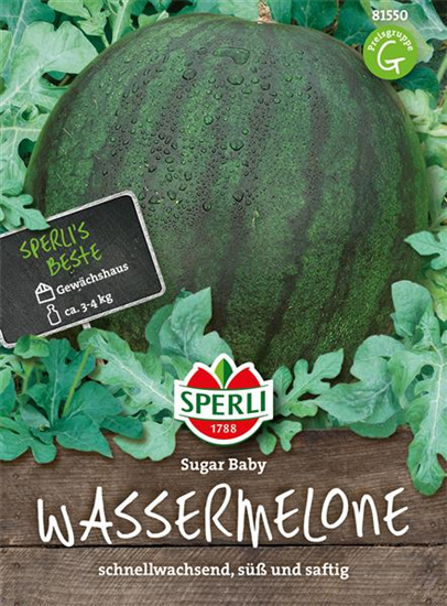 Kompakte Wassermelone 'Sugar Baby'