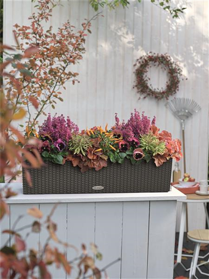 LECHUZA BALCONERA Cottage 80 