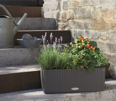 LECHUZA BALCONERA Cottage 50  LECHUZA BALCONERA Cottage 50