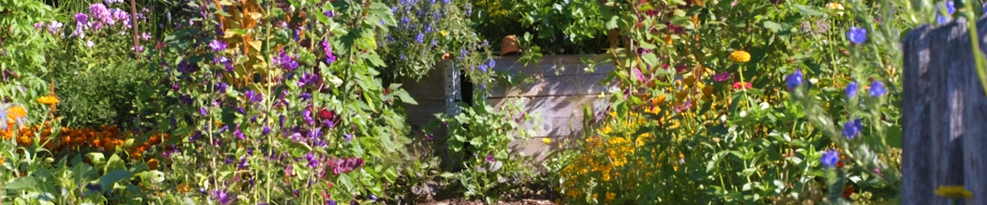 Gartengestaltung - Bauerngarten (Thumbnail).jpg Gartengestaltung - Bauerngarten (Thumbnail).jpg