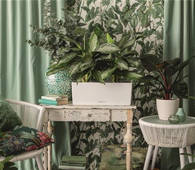 LECHUZA BALCONERA Color 50  LECHUZA BALCONERA Color 50