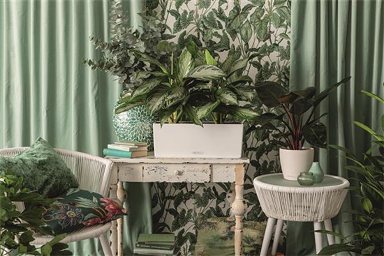 LECHUZA BALCONERA Color 50  LECHUZA BALCONERA Color 50