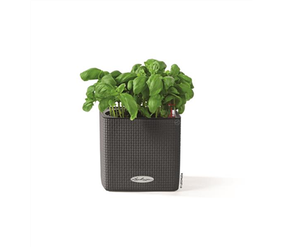 LECHUZA CUBE Color 14  LECHUZA CUBE Color 14