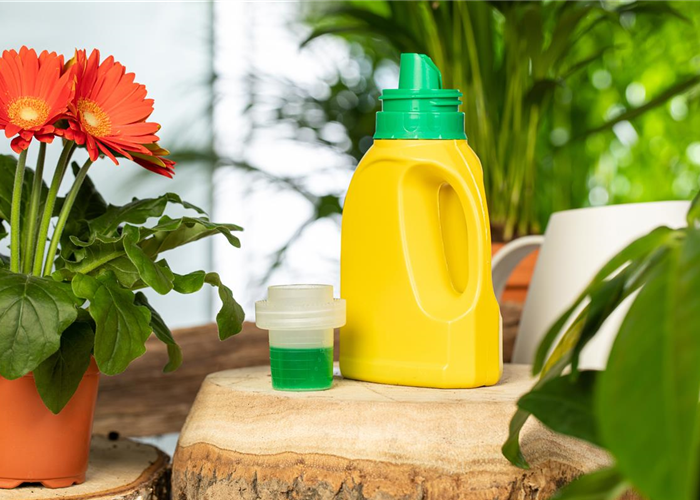 Blumendünger Blumendünger