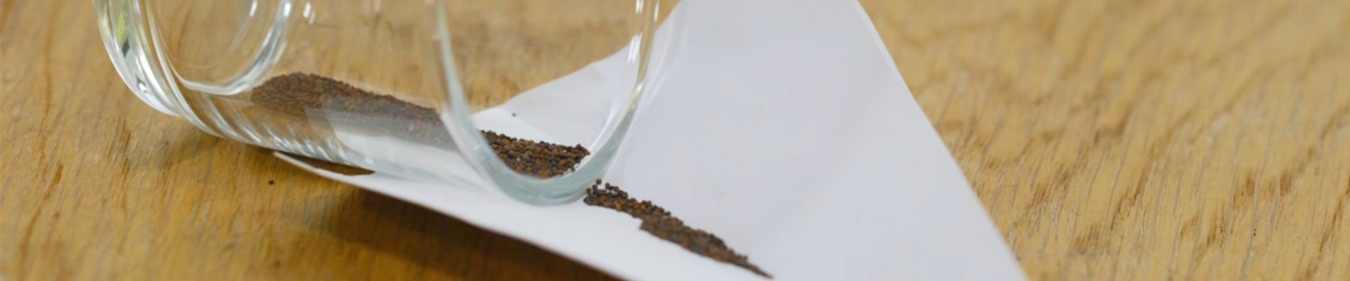 Thymian - Aussaat (Thumbnail).jpg Thymian - Aussaat (Thumbnail).jpg