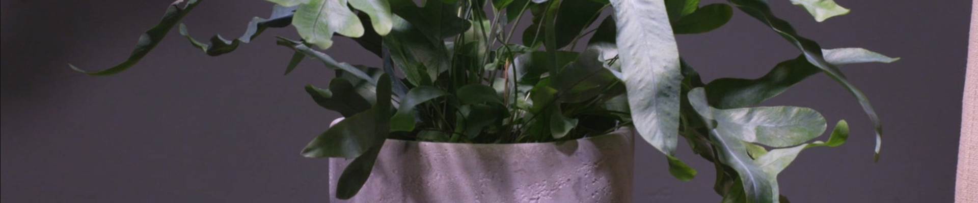 Ashampoo_Snap_Dienstag, 21. Juni 2022_09h15m46s_002_.jpg Ashampoo_Snap_Dienstag, 21. Juni 2022_09h15m46s_002_.jpg