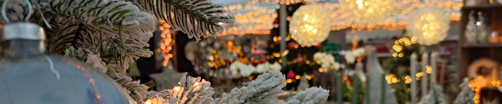 Titelbild Adventsausstellung.png Titelbild Adventsausstellung.png