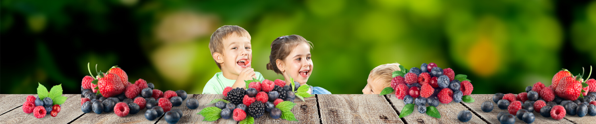 Beerenwoche Flyer Titelslider (1919 × 403 px).png