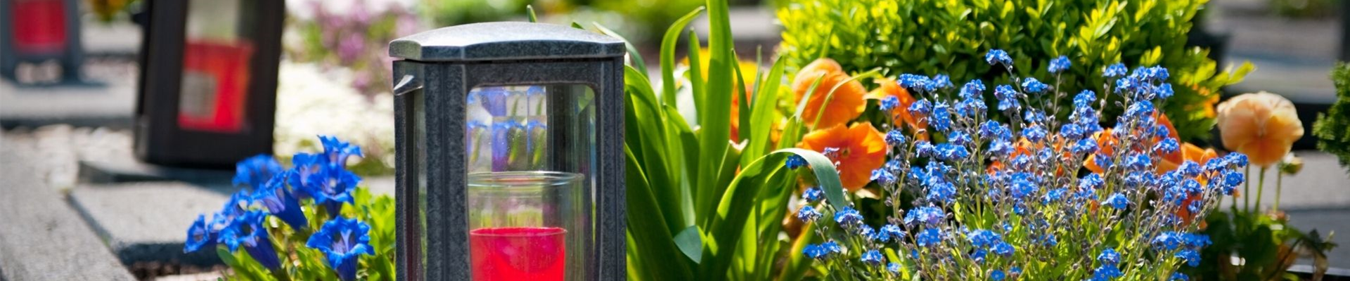 Grabpflege Titelslider.jpg Grabpflege Titelslider.jpg