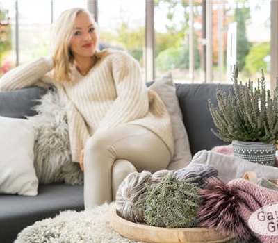 Calluna GardenGirls Fluffy 