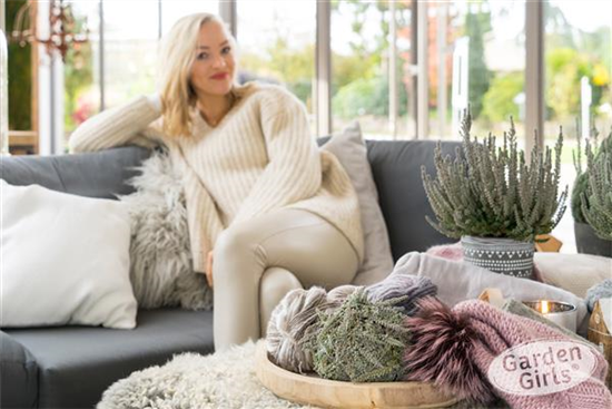 Calluna GardenGirls Fluffy 