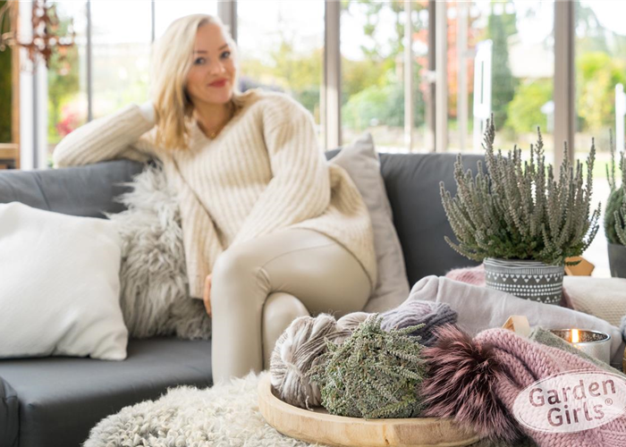 Calluna GardenGirls Fluffy  Calluna GardenGirls Fluffy