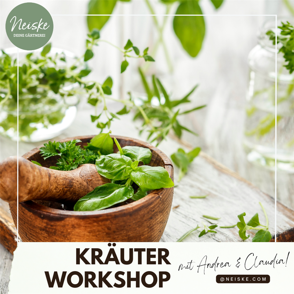 Kräuter Workshop - 2026