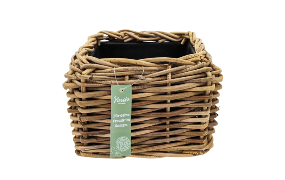 Drypot Rattan Blond 25x25H18cm eckig - Outdoor