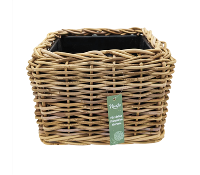 Drypot Rattan Blond 31X31H24cm