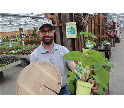 Kiri Baum / Klimabaum