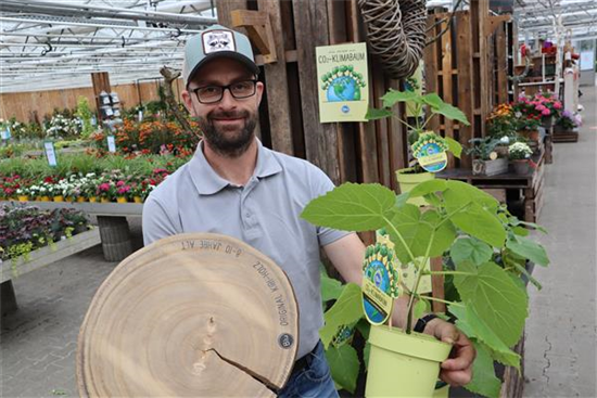 Kiri Baum / Klimabaum