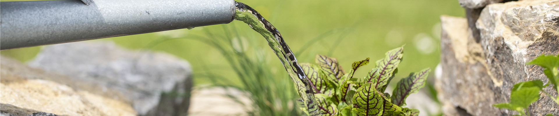 GS620289.jpg GS620289.jpg