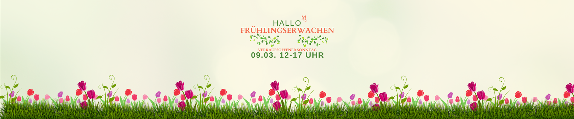 Frühlingserwachen 2025 - Titelslider.png Frühlingserwachen 2025 - Titelslider.png