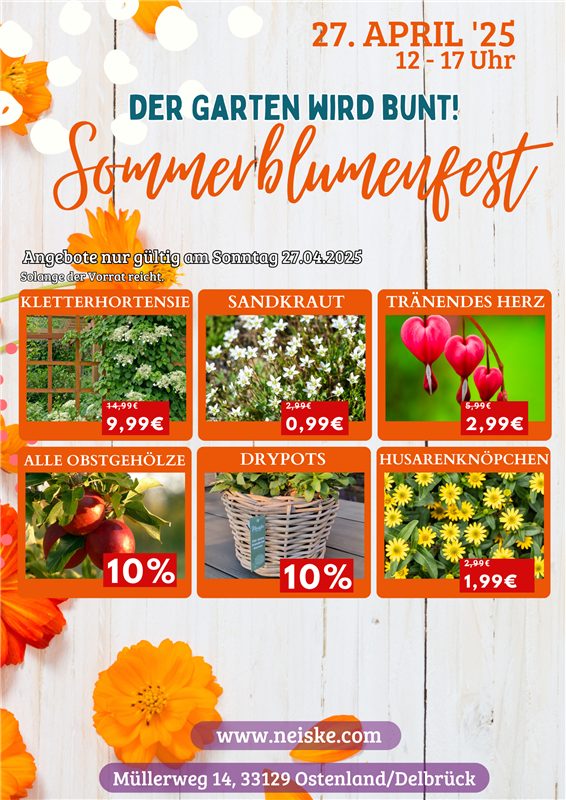 Sommerblumenfest 2025 - Angebote.png