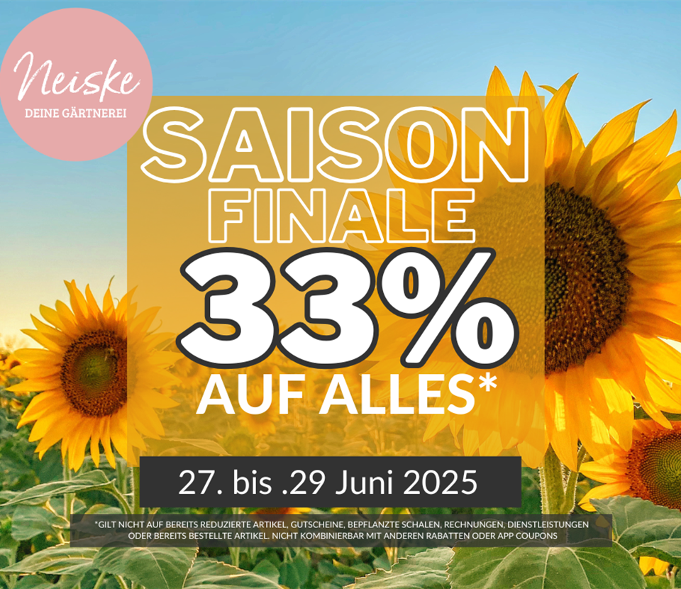 Saison Finale Website.png