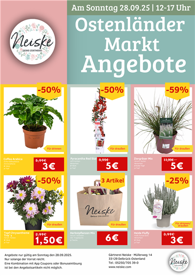 Ostenländer Markt 2025 - Angebote.png Ostenländer Markt 2025 - Angebote.png