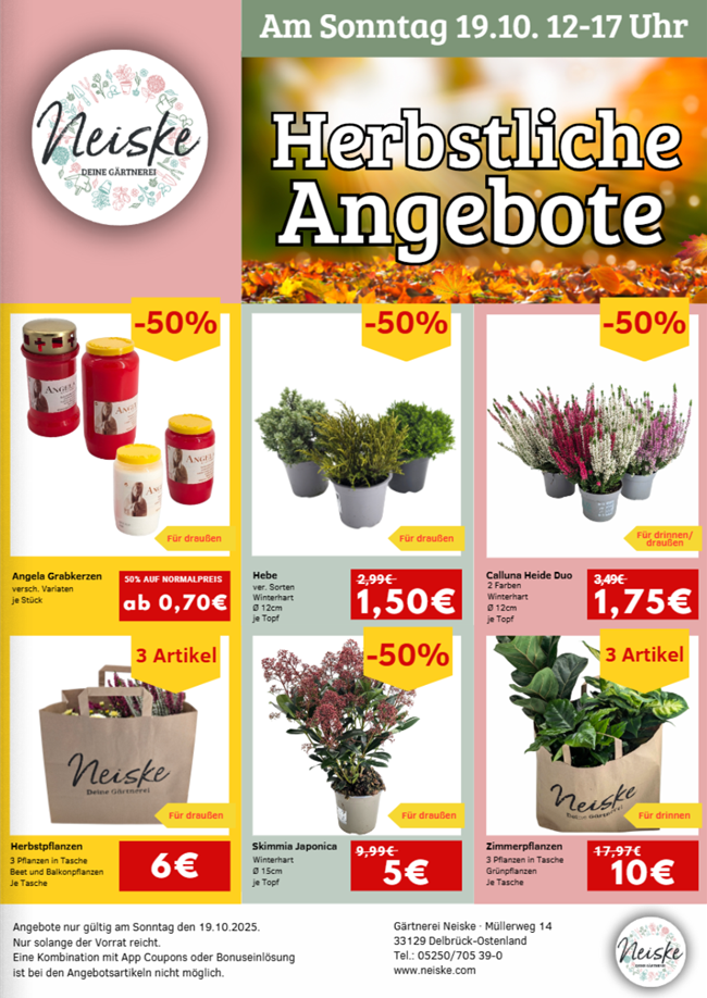 Screenshot 2025-10-18 155549.png