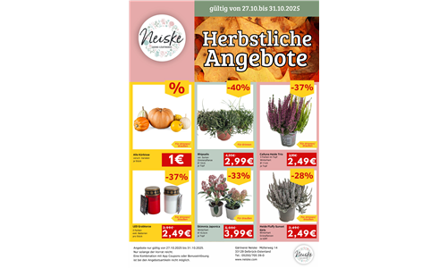 Angebote 27.10.25 Angebote 27.10.25