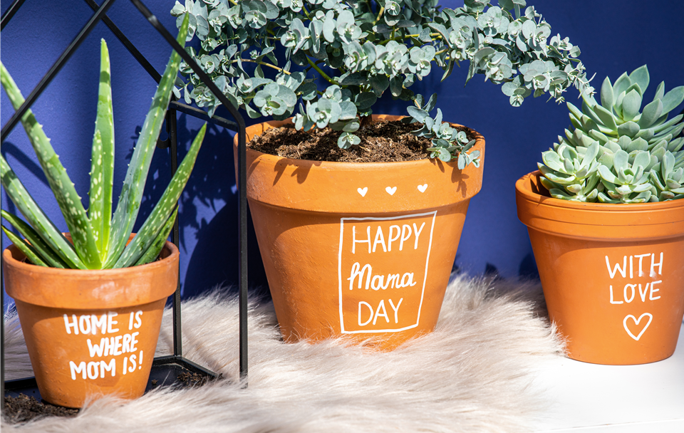 Muttertag - Bepflanzte Töpfe mit Aufschrift