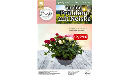 Angebote 23.02.26-07.03.26