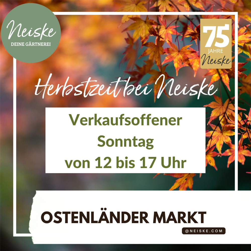 Ostenländer Markt 2026
