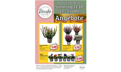 Angebote Sonntag 11.10.2026