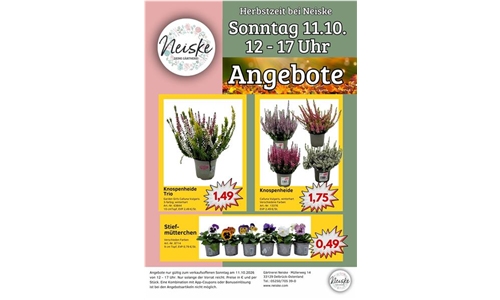 Angebote Herbstfest 18.10.2026