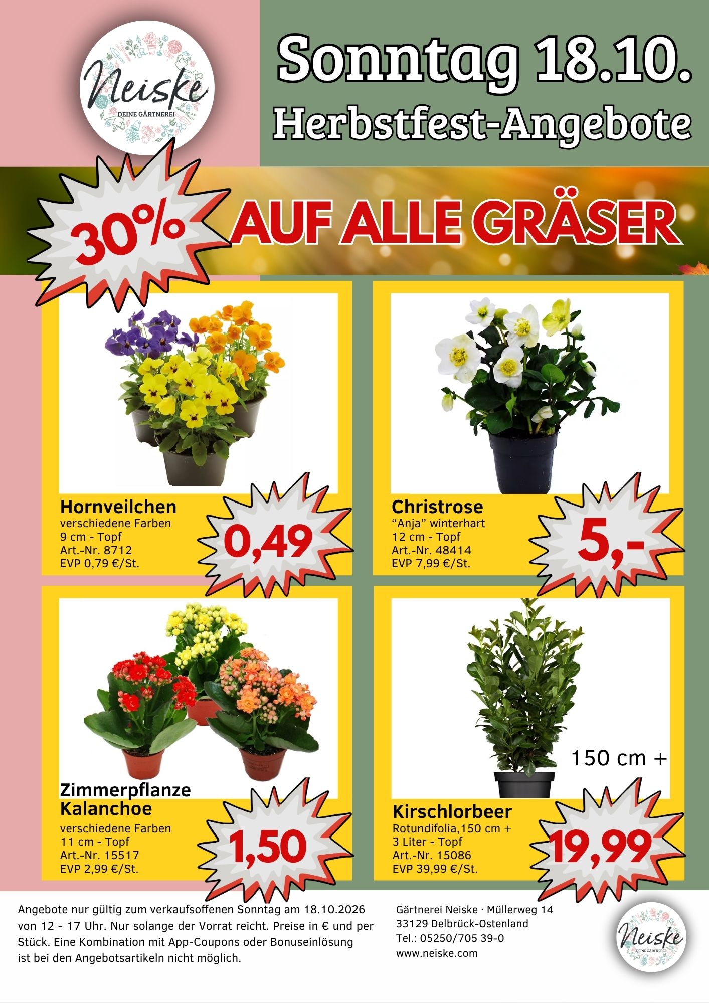 Angebote 18.10.2026 Übersicht.jpg