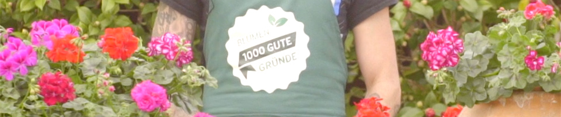 Geranien_thumbnail.jpg Geranien_thumbnail.jpg