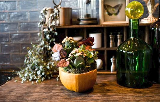 Kürbis mit Bepflanzung Kürbis mit Bepflanzung