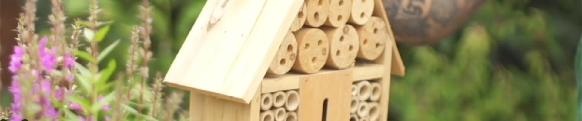 Bienenhotel_thumbnail.jpg Bienenhotel_thumbnail.jpg