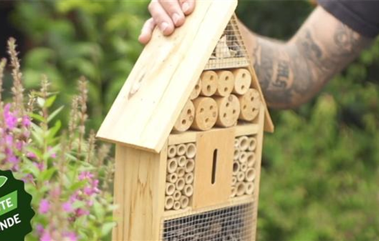 So zauberst du ein Bienenhotel So zauberst du ein Bienenhotel