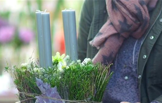 Blühenden Adventskranz selbst gestalten Blühenden Adventskranz selbst gestalten